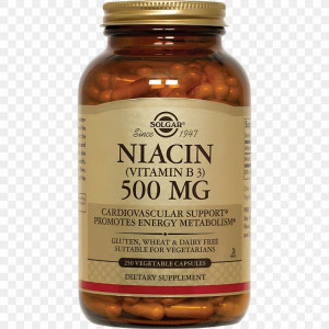 Ниацин Solgar Niacin (Vitamin B3) 500 мг 250 капсул