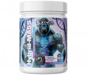 Предтреник Synful Supplements Hybrid Mass 432 грамма