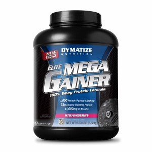 Dymatize Nutrition Elite Mega Gainer 2905 грамм