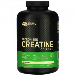 Optimum Nutrition Micronized Creatine Powder 600 грамм